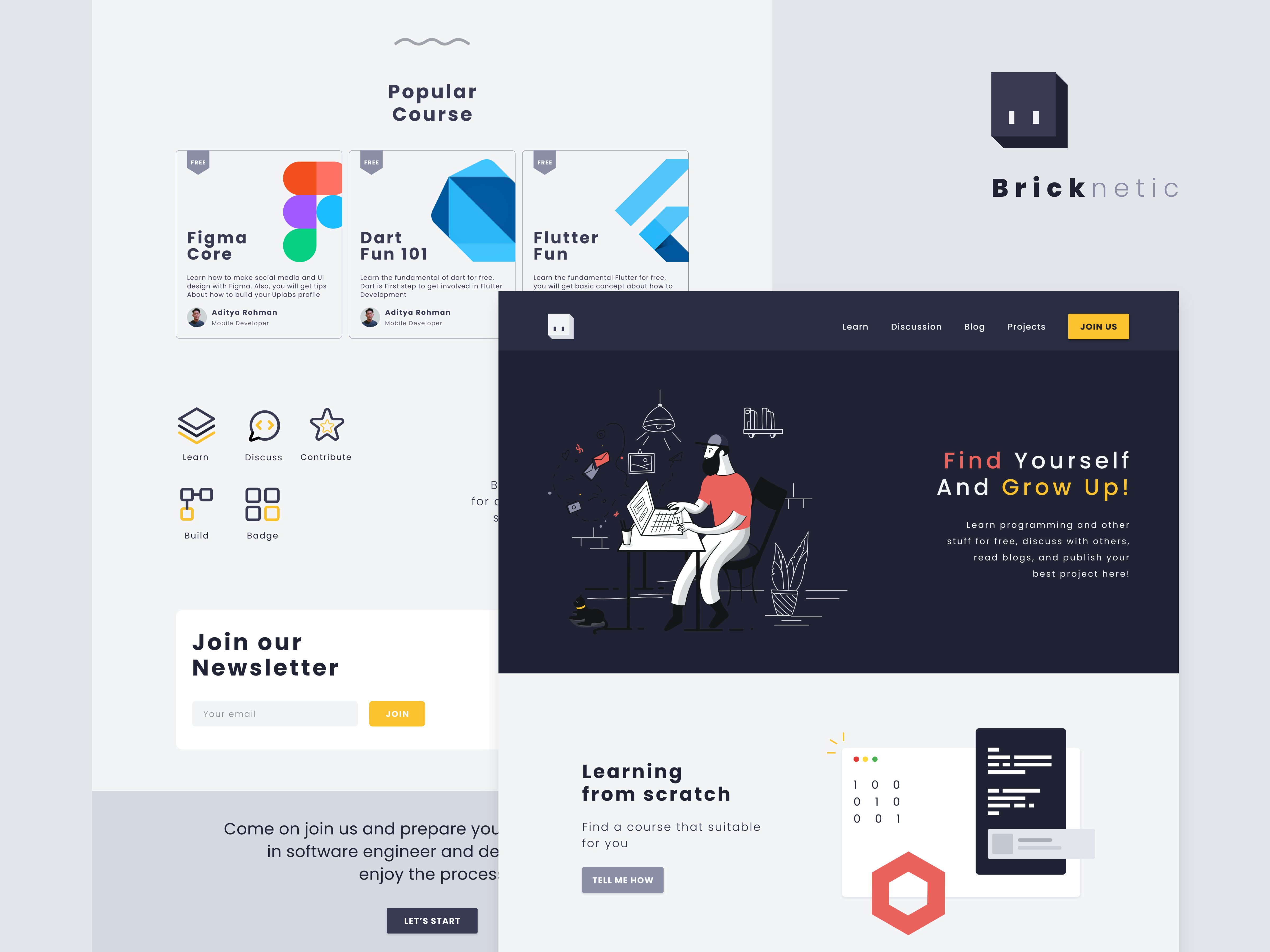 Bricknetic Learning Website